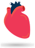 Cardiac