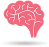 Central nervous system