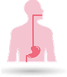 Digestive