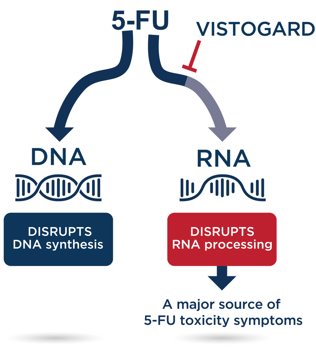 VISTOGARD Mechanism of Action